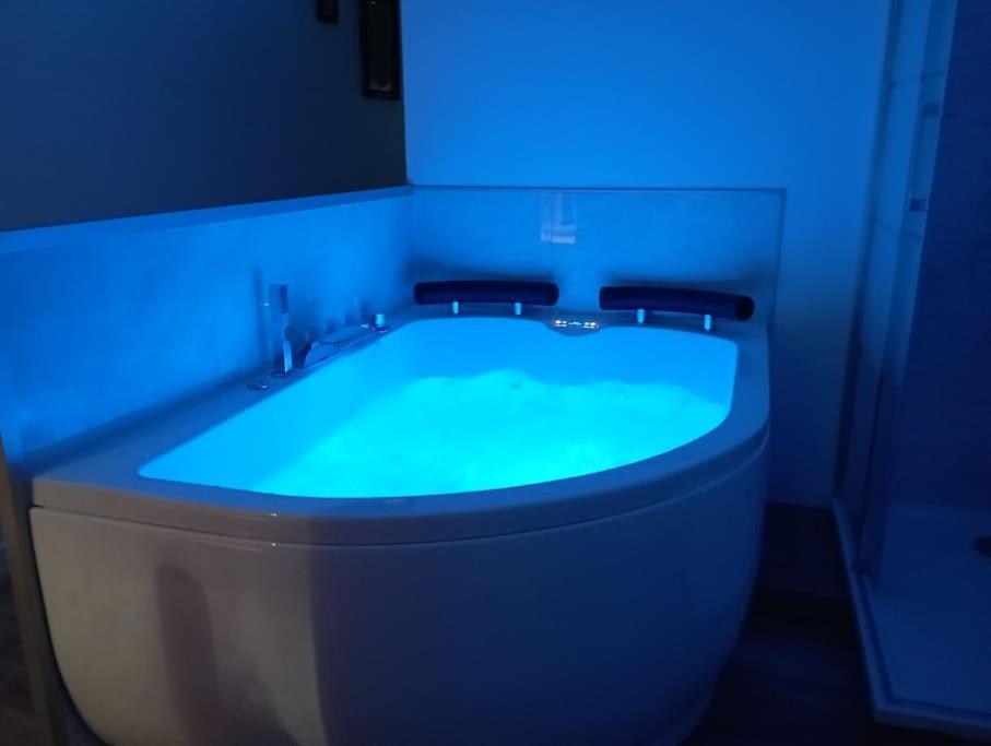 Sejour Sauna Et Jacuzzi Cocon La Roche-sur-Yon Εξωτερικό φωτογραφία